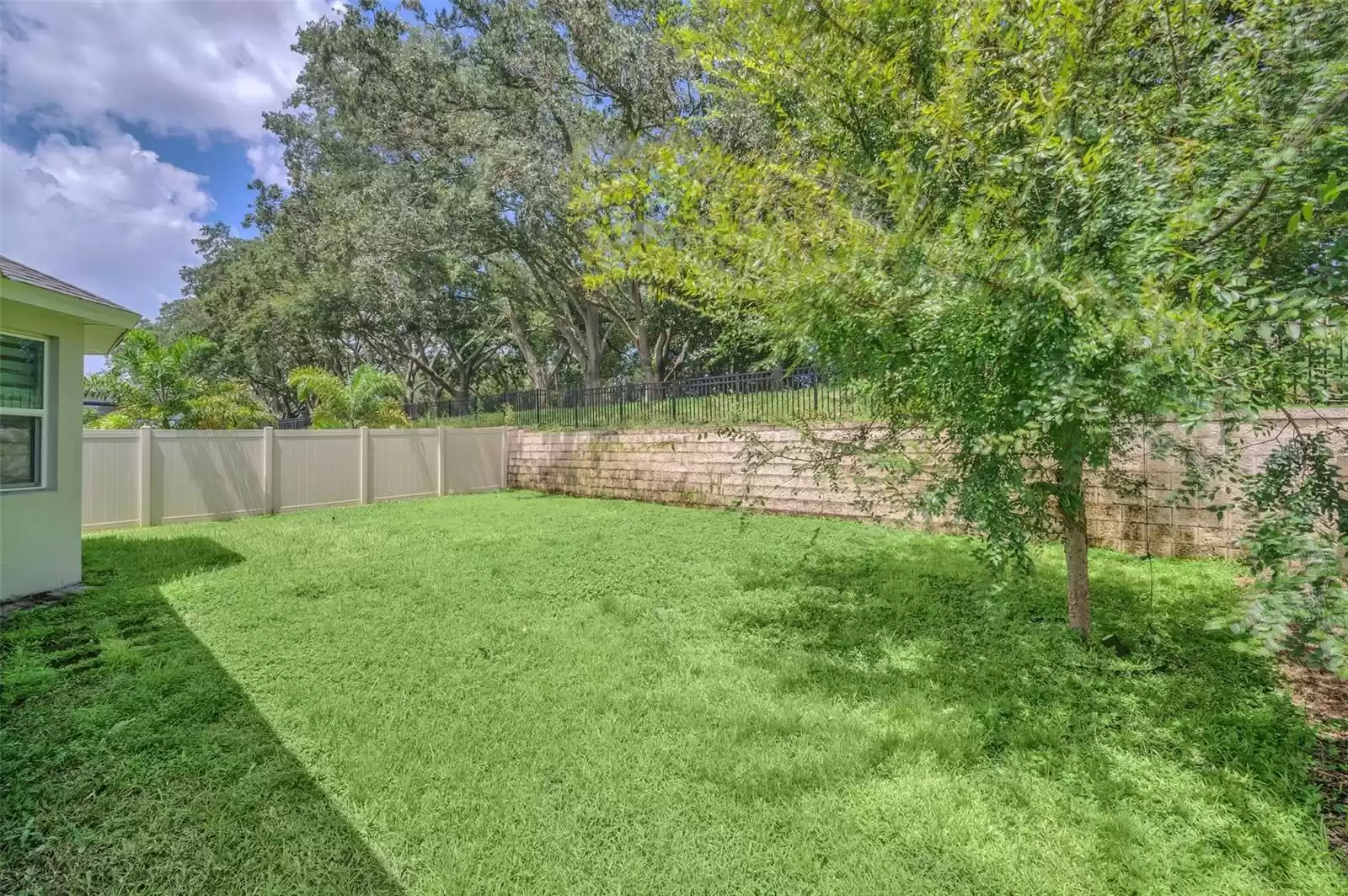 Fenced backyard