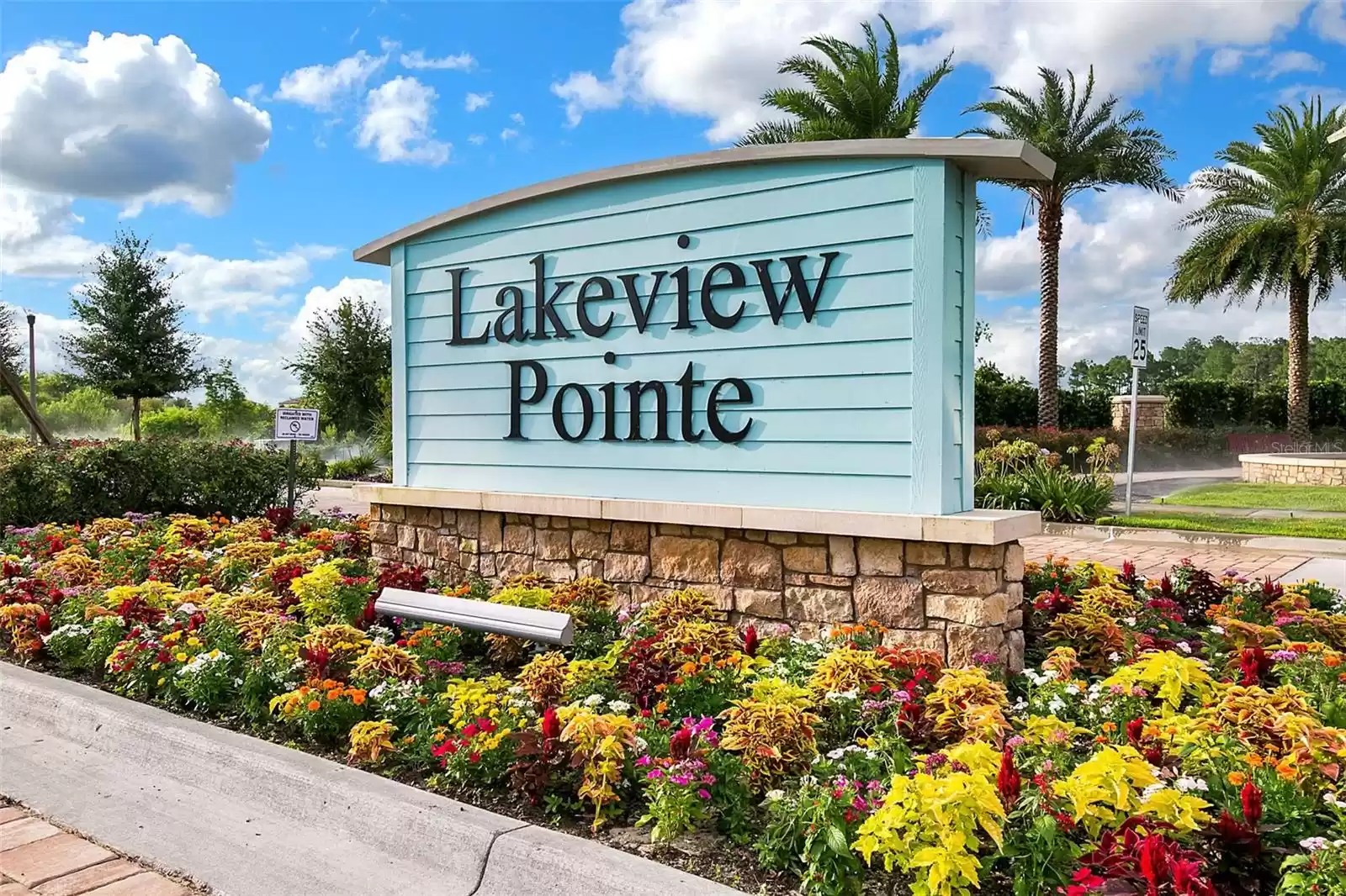 Desirable Lakeview Pointe Horizon West