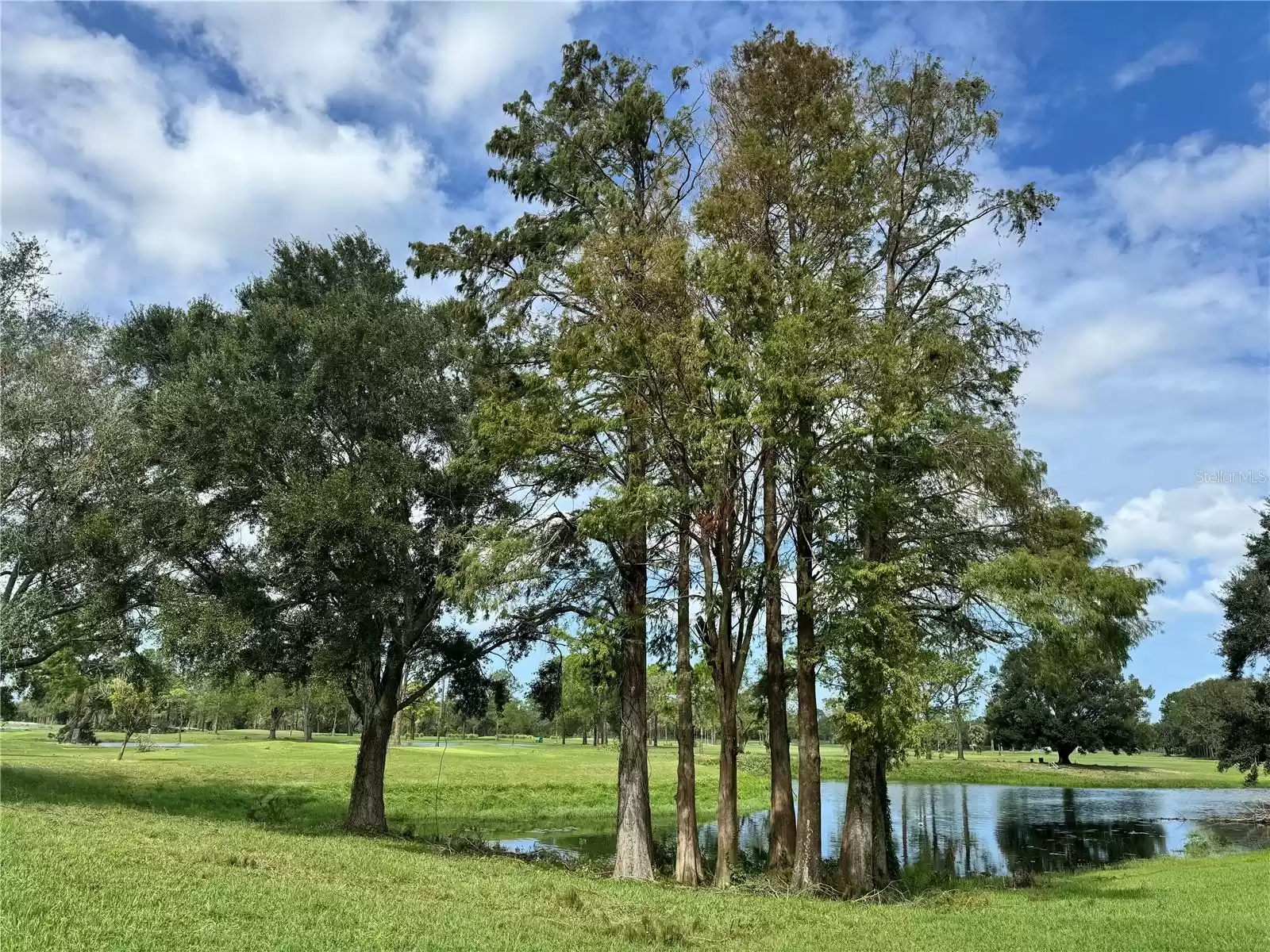 View from pool- water and golf view