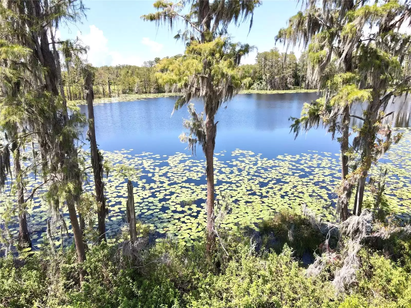 17930 ADRIFT ROAD, WINTER GARDEN, Florida 34787, 4 Bedrooms Bedrooms, ,3 BathroomsBathrooms,Residential,For Sale,ADRIFT,MFRO6236763