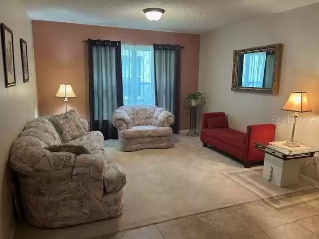 Dining room area currently being used as a living room