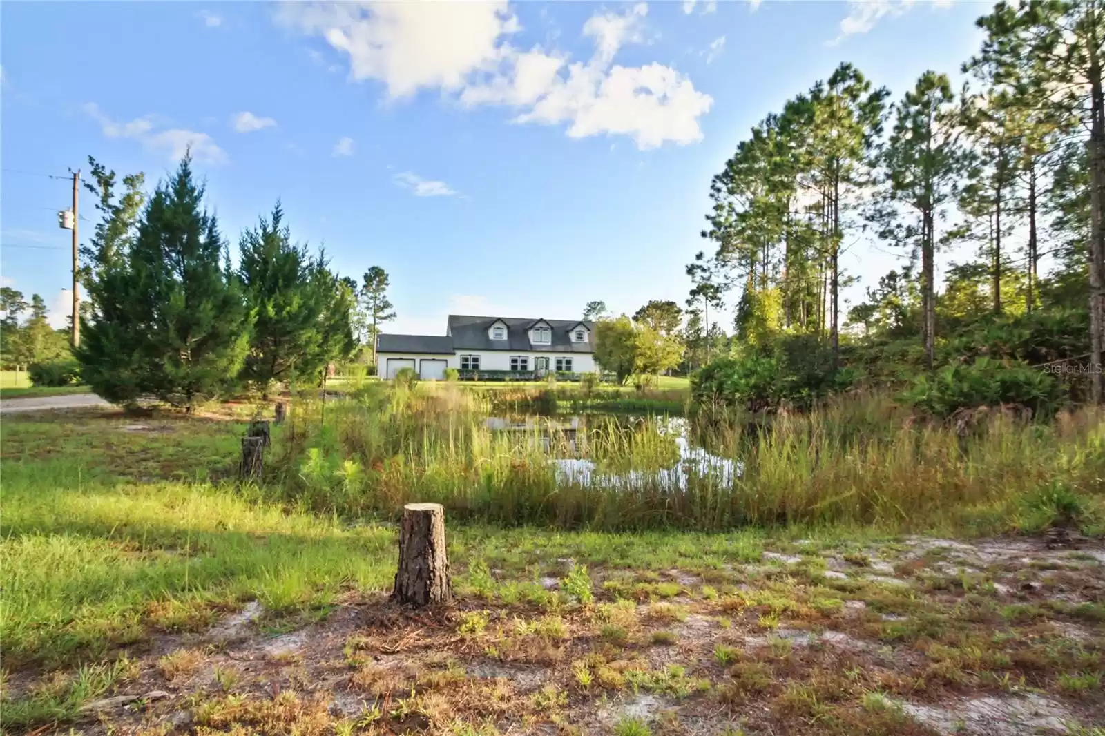 Pond in front of home