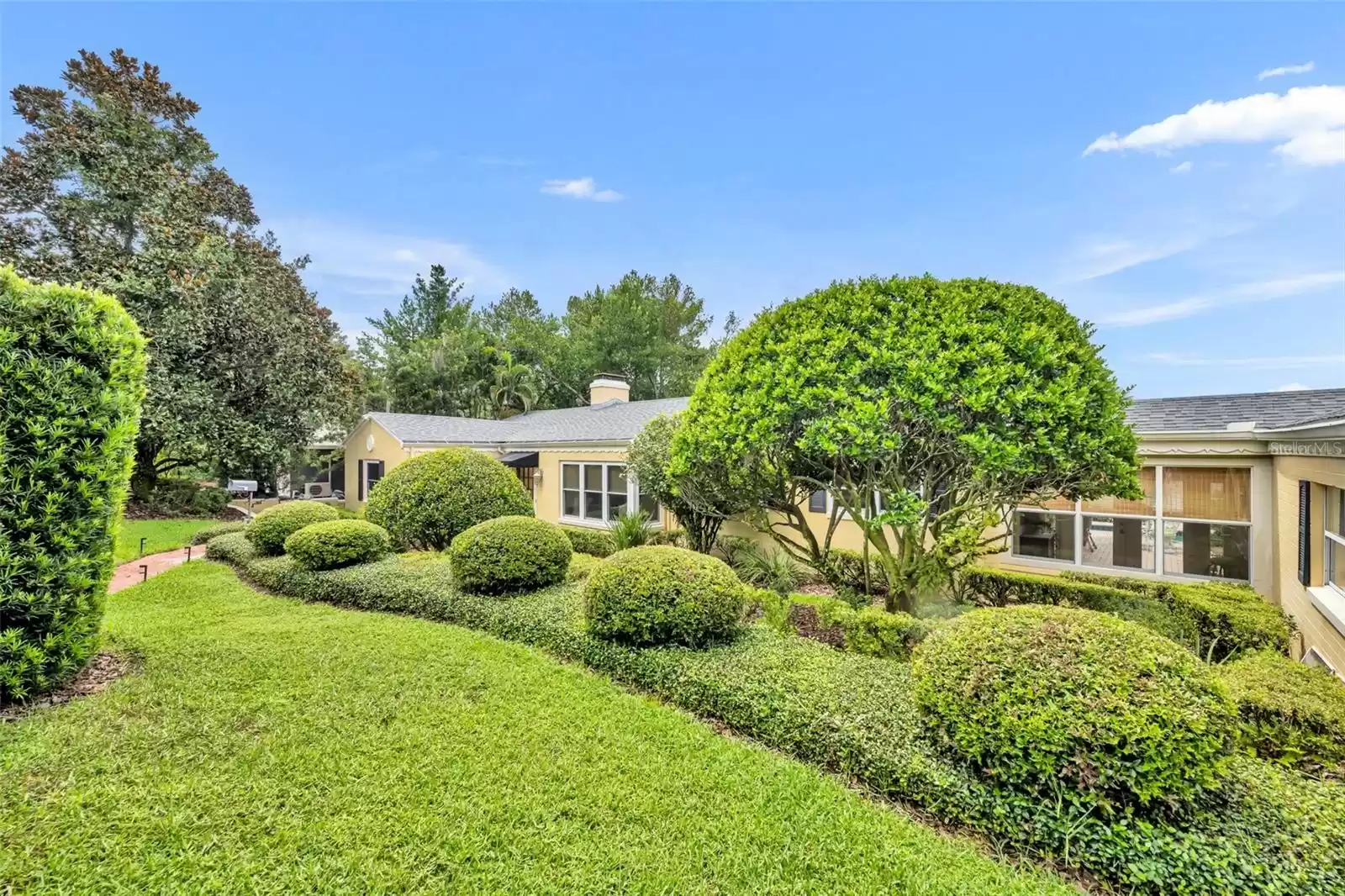 Side view of front yard