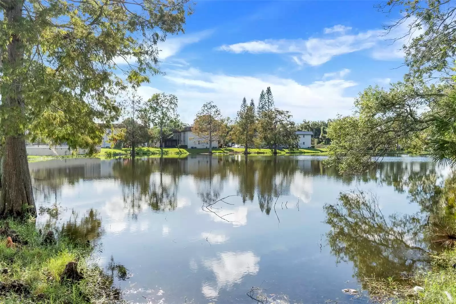 Serene Pond near the unit