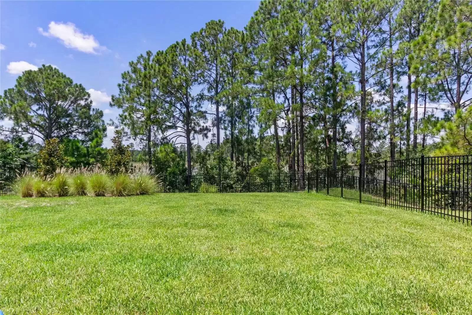 Fenced, oversized lot/yard.