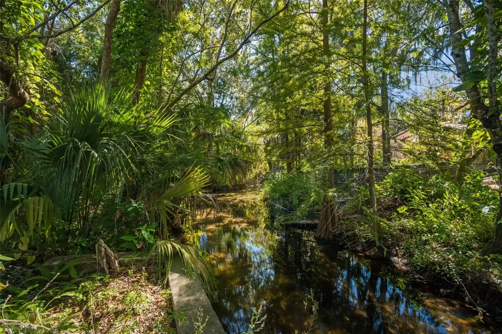 1391 RICHMOND ROAD, WINTER PARK, Florida 32789, 4 Bedrooms Bedrooms, ,5 BathroomsBathrooms,Residential,For Sale,RICHMOND,MFRO6246352