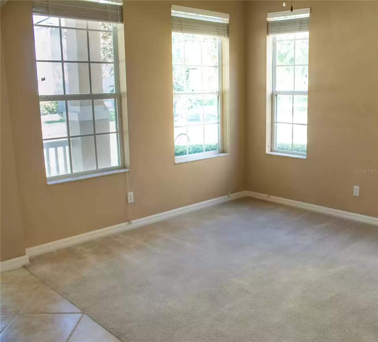 Entry - formal living room