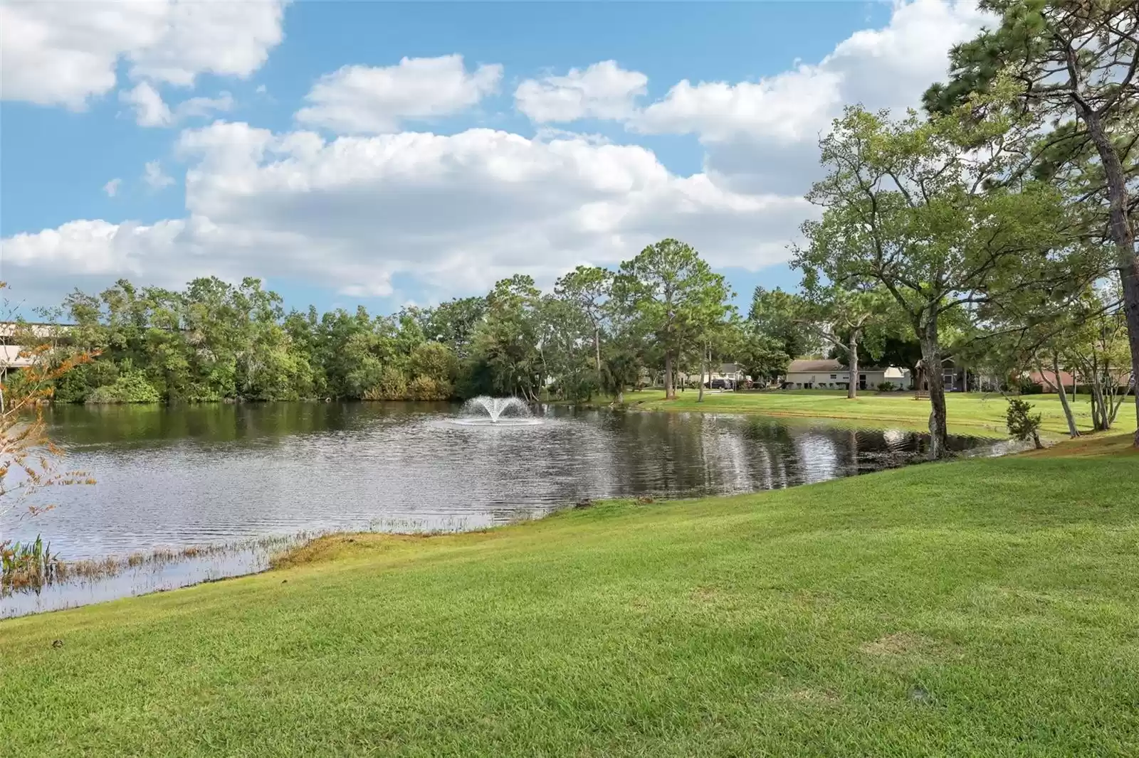 The central location gives you easy access to shopping, dining, area parks, lakes and more and the low HOA makes this an ideal first home or investment property, plus it comes with assigned parking.