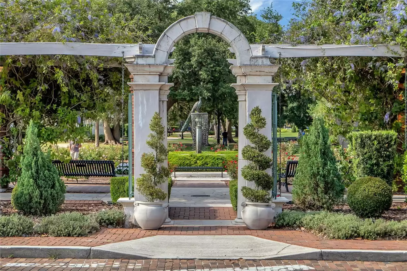 The stunning Winter Park Rose Garden!