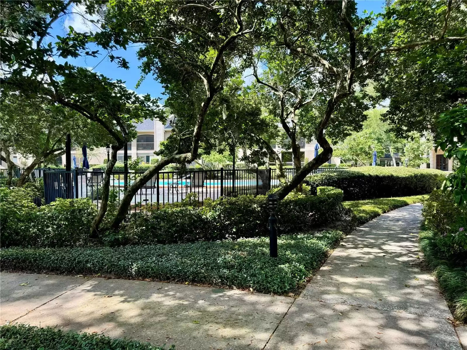 Main pool area