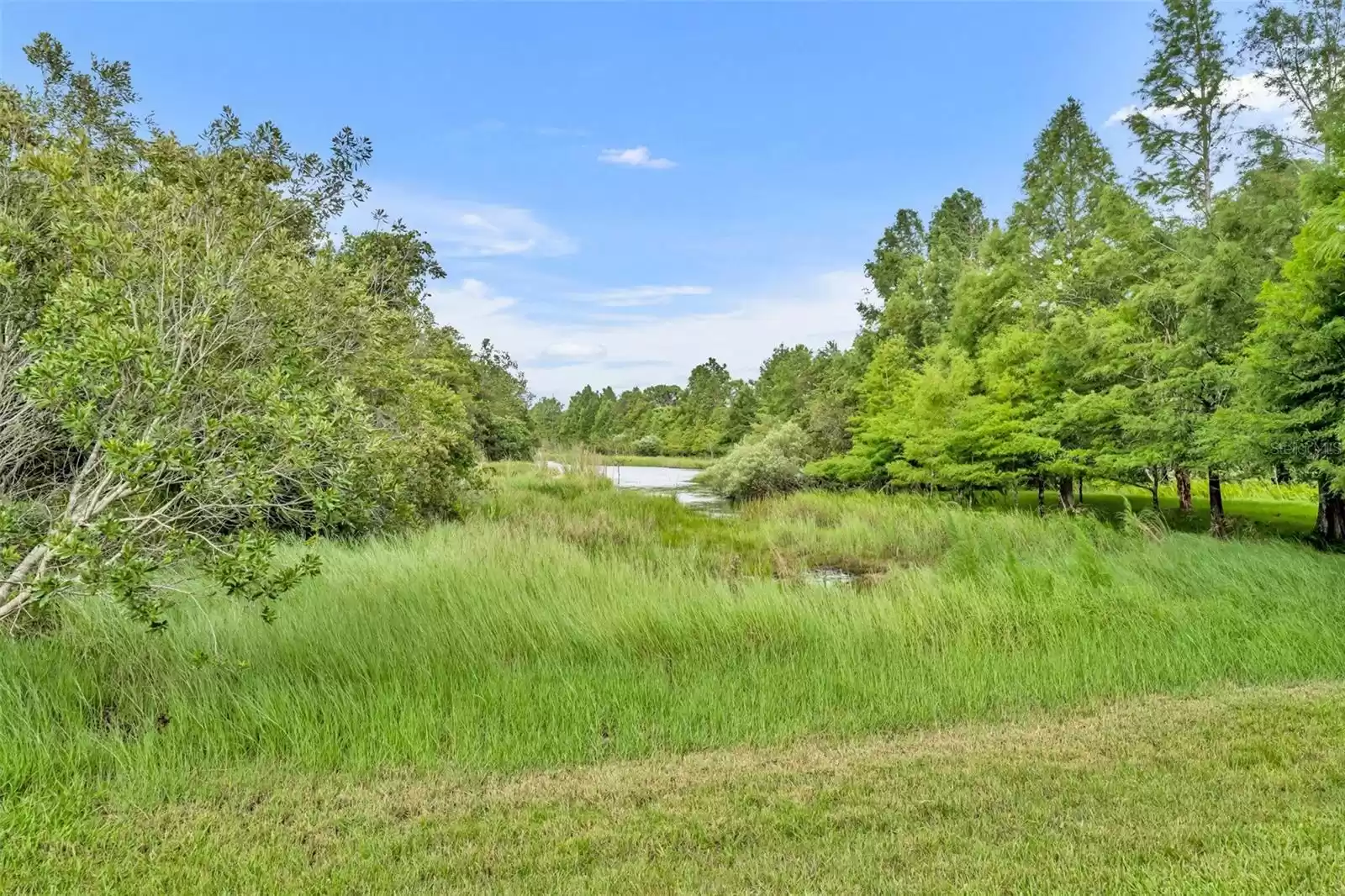 14671 SAINT GEORGES HILL DRIVE, ORLANDO, Florida 32828, 5 Bedrooms Bedrooms, ,4 BathroomsBathrooms,Residential,For Sale,SAINT GEORGES HILL,MFRO6222254