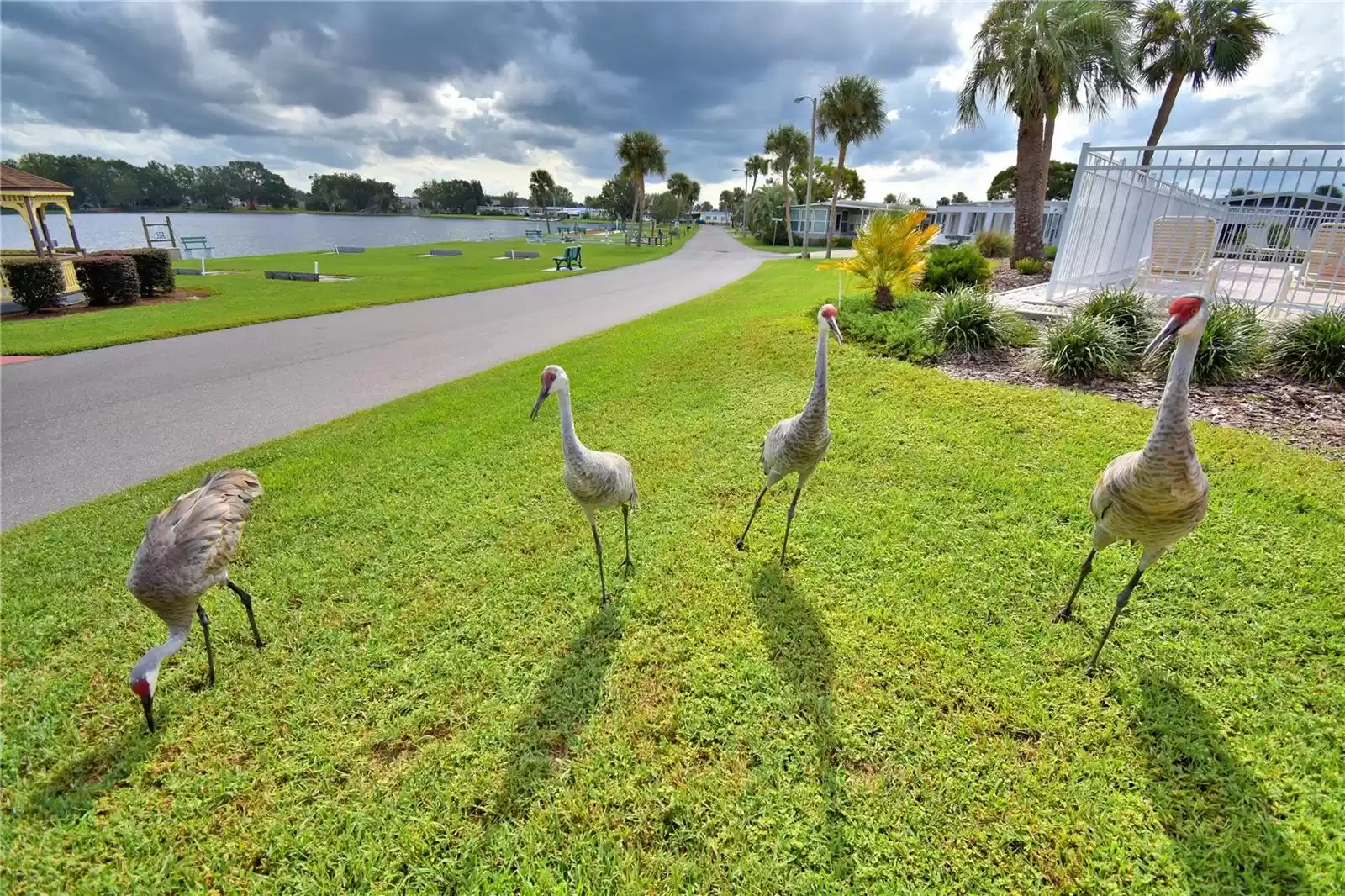 4201 CEDARWOOD STREET, WINTER HAVEN, Florida 33880, 2 Bedrooms Bedrooms, ,2 BathroomsBathrooms,Residential,For Sale,CEDARWOOD,MFRP4932409