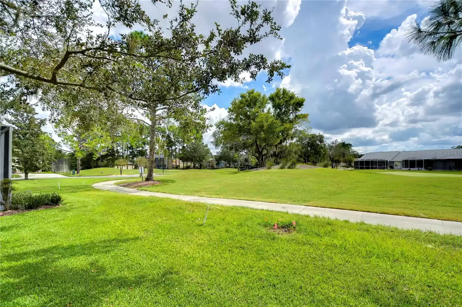 golf course trail; view from patio