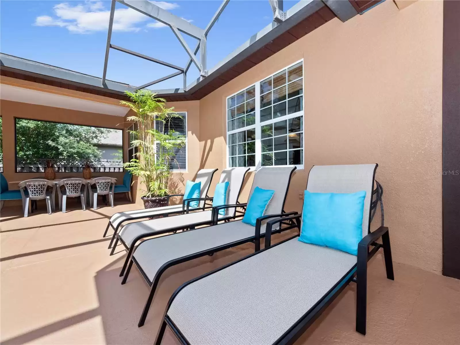 Pool Lounge Area