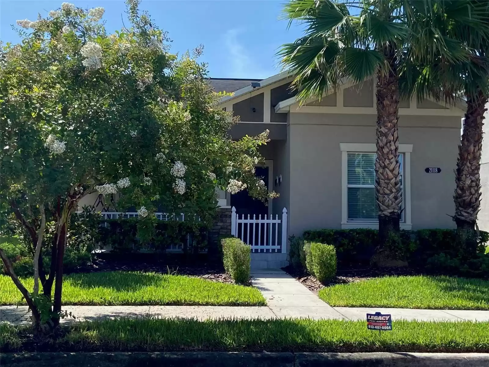 21118 PASSIVE PORCH DRIVE, LAND O LAKES, Florida 34637, 3 Bedrooms Bedrooms, ,2 BathroomsBathrooms,Residential Lease,For Rent,PASSIVE PORCH,MFRW7869176