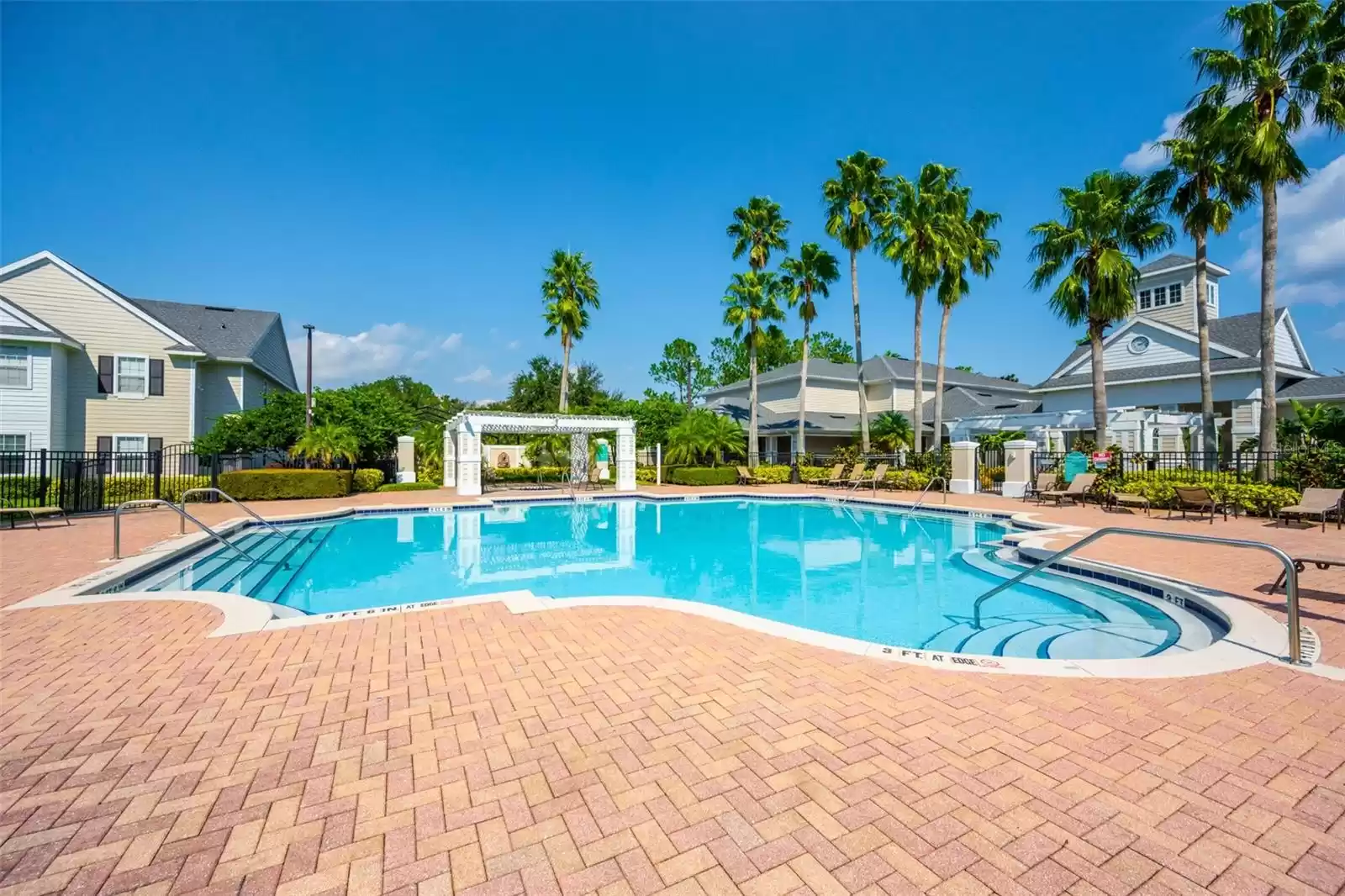 Enjoy the pool under the palm trees on a hot Florida day!