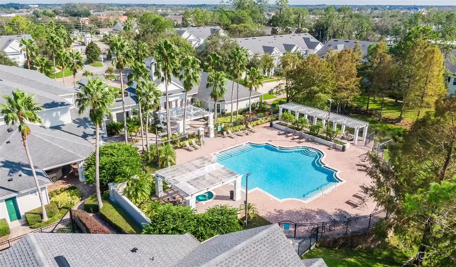 Enjoy the pool & spa under the palm trees on a beautiful Florida day!