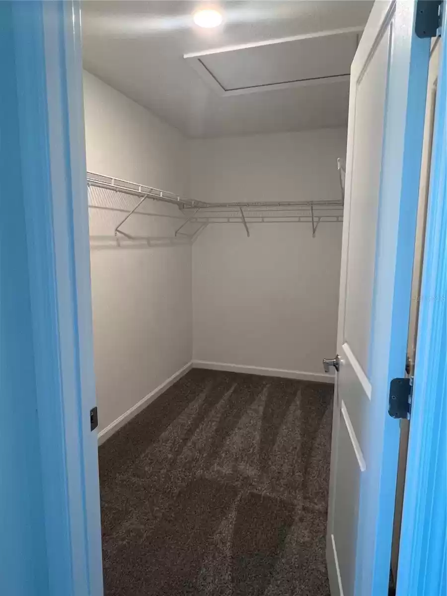 Walk in Master Closet