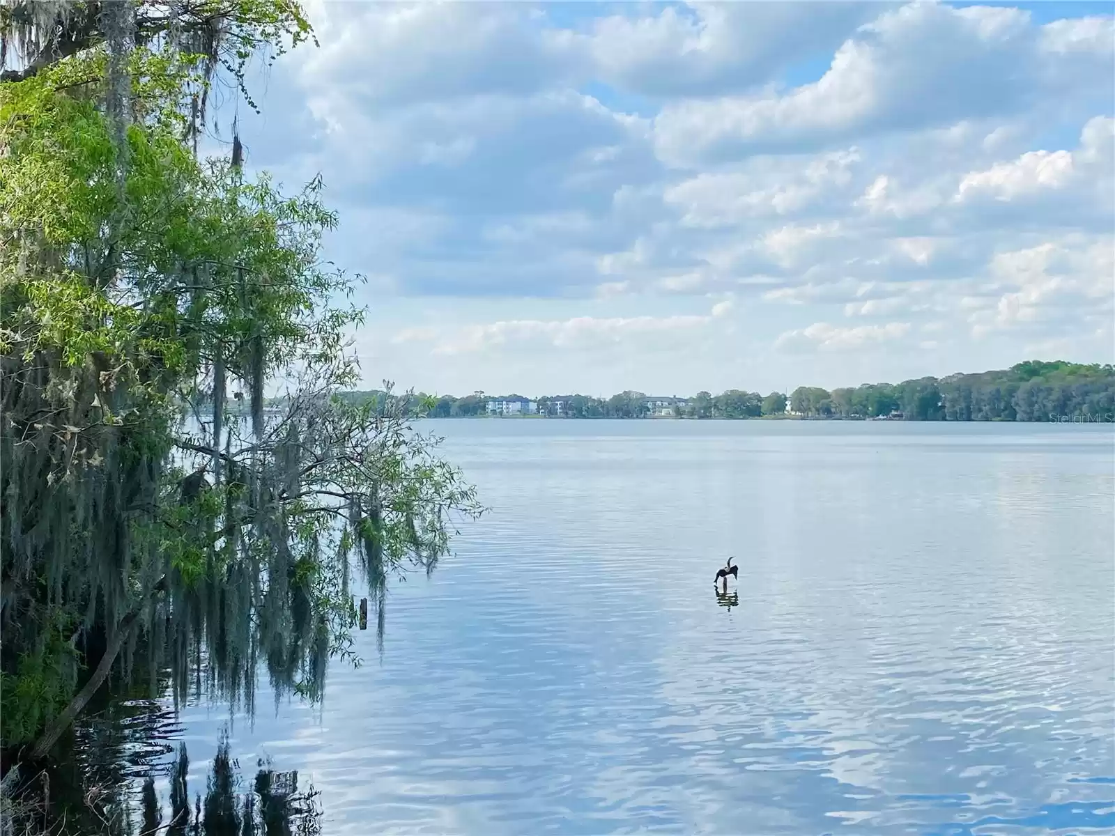 1313 BLUE STEM LANE, WINTER PARK, Florida 32792, 4 Bedrooms Bedrooms, ,3 BathroomsBathrooms,Residential Lease,For Rent,BLUE STEM,MFRO6251693