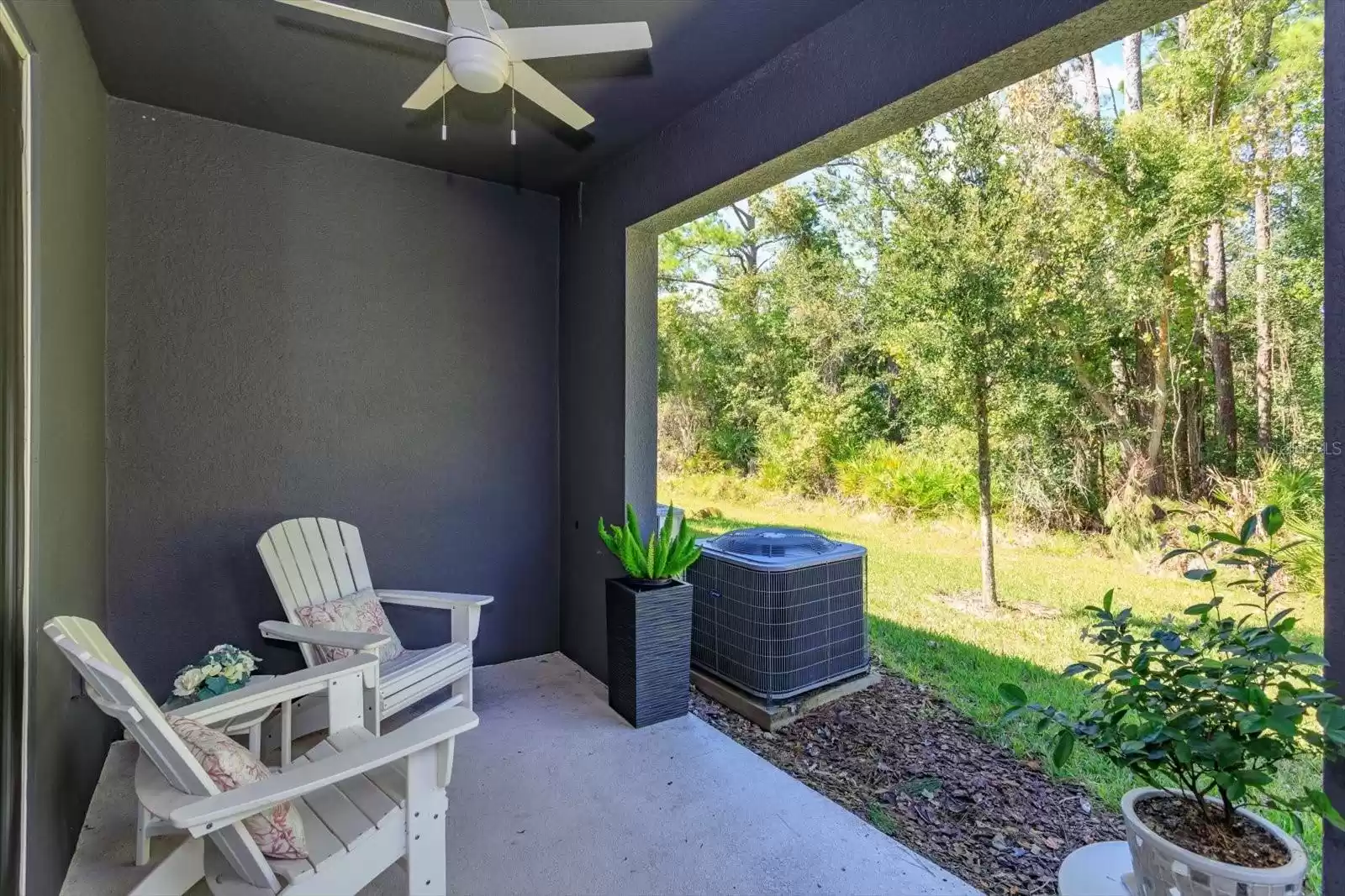 Patio Overlooking Conservation Area