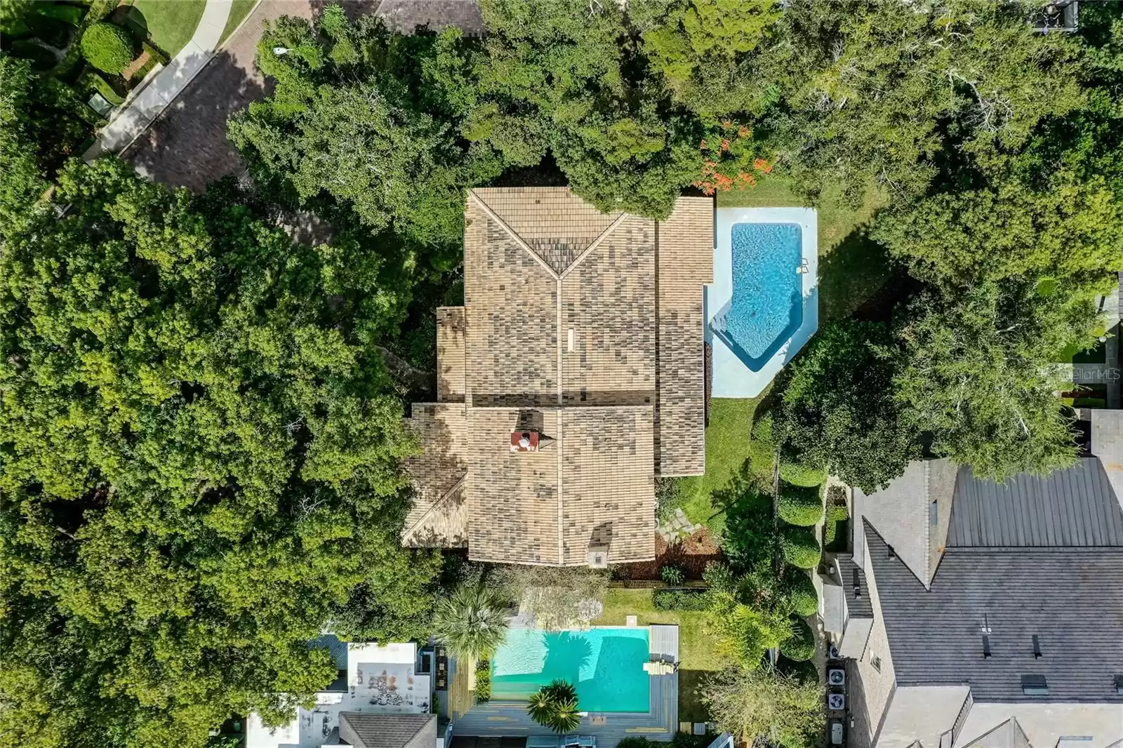 Overhead view with the lush canopy of trees