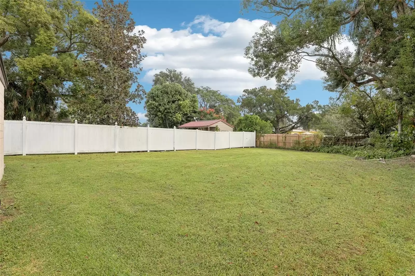 Large fenced backyard