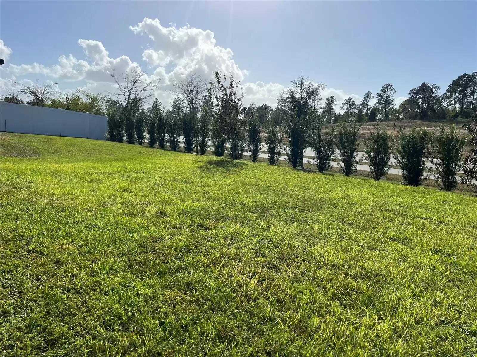 2321 MYSTIC MAZE LANE, MINNEOLA, Florida 34715, 3 Bedrooms Bedrooms, ,2 BathroomsBathrooms,Residential Lease,For Rent,MYSTIC MAZE,MFRO6253995