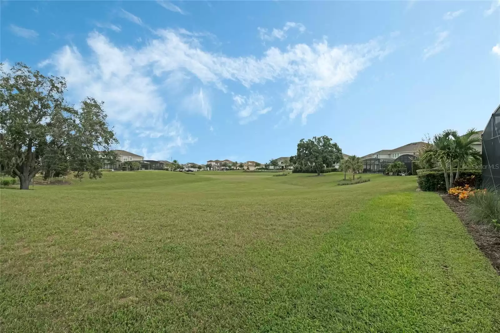 Backyard overlooks beautiful green space.