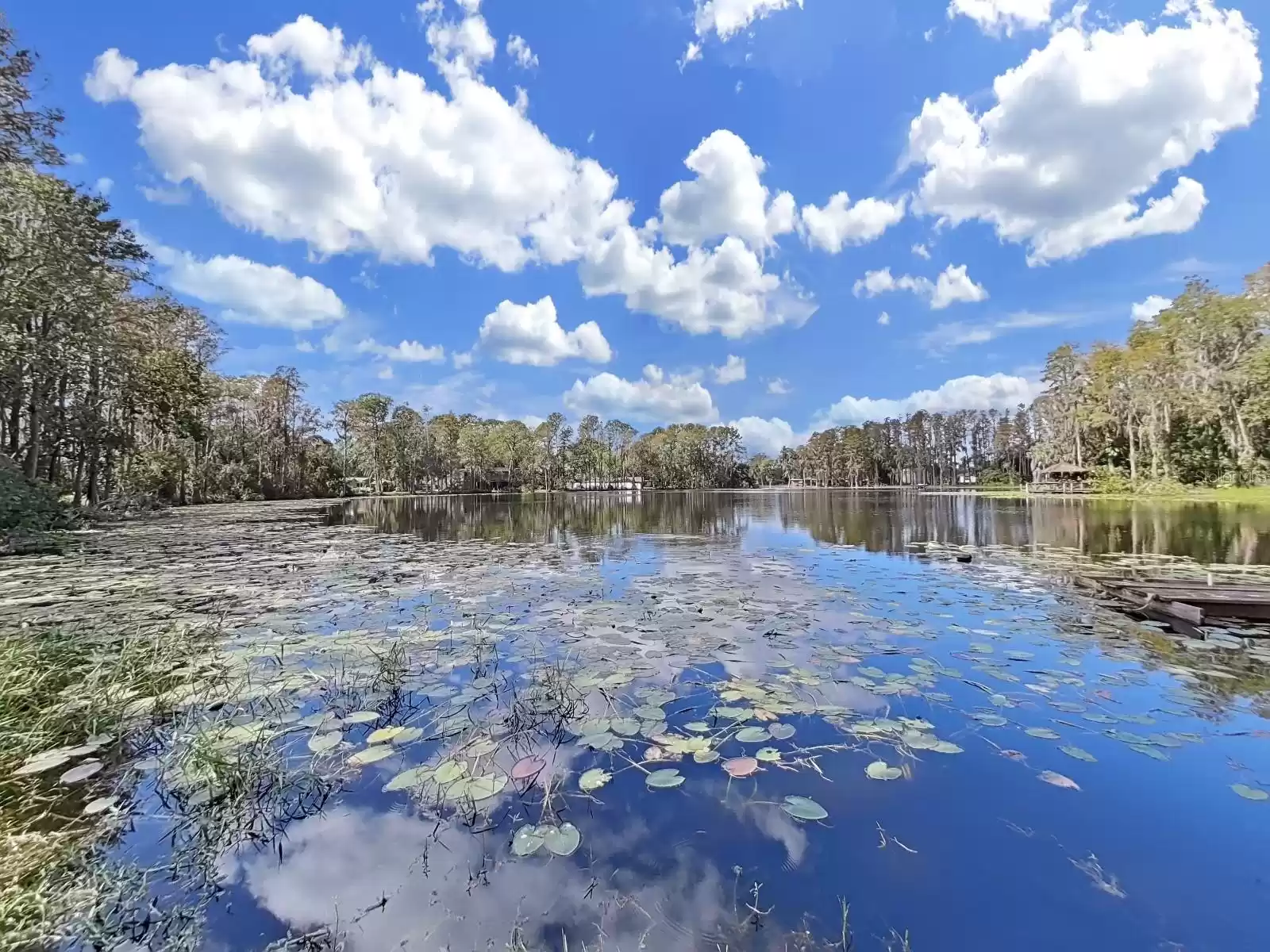 17150 LAKESHORE ROAD, LUTZ, Florida 33558, 3 Bedrooms Bedrooms, ,2 BathroomsBathrooms,Residential Lease,For Rent,LAKESHORE,MFRTB8308089