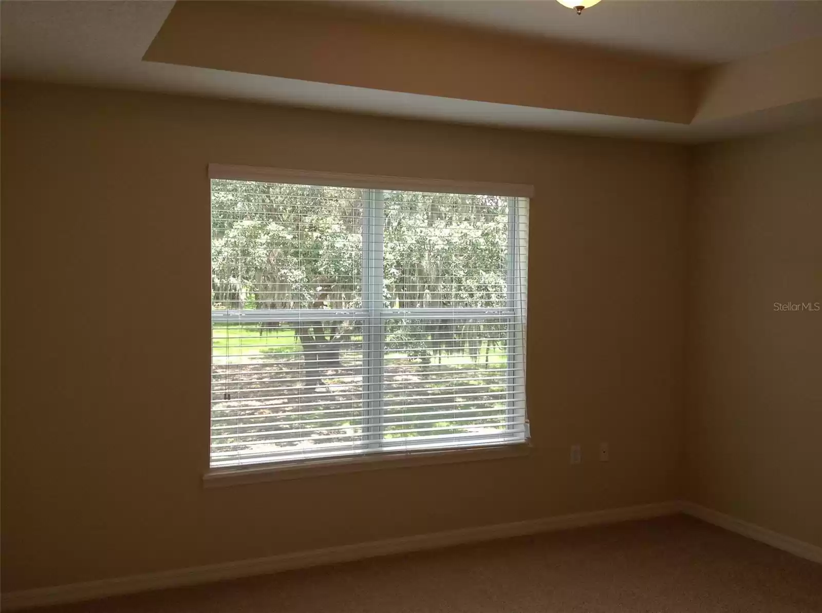 SAINT CLOUD, Florida 34769, 3 Bedrooms Bedrooms, ,2 BathroomsBathrooms,Residential Lease,For Rent,MFRO6246669