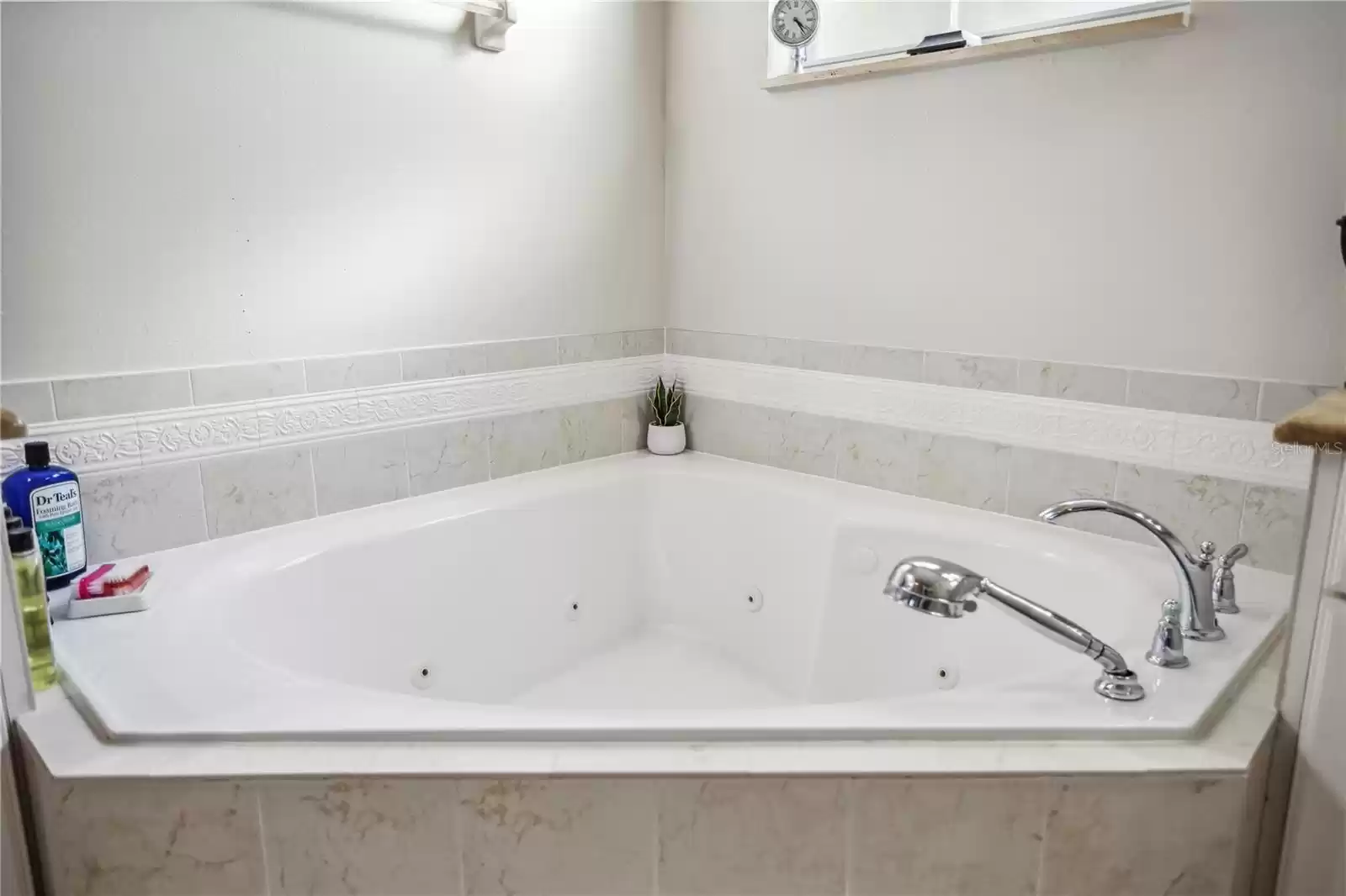 Master Tub