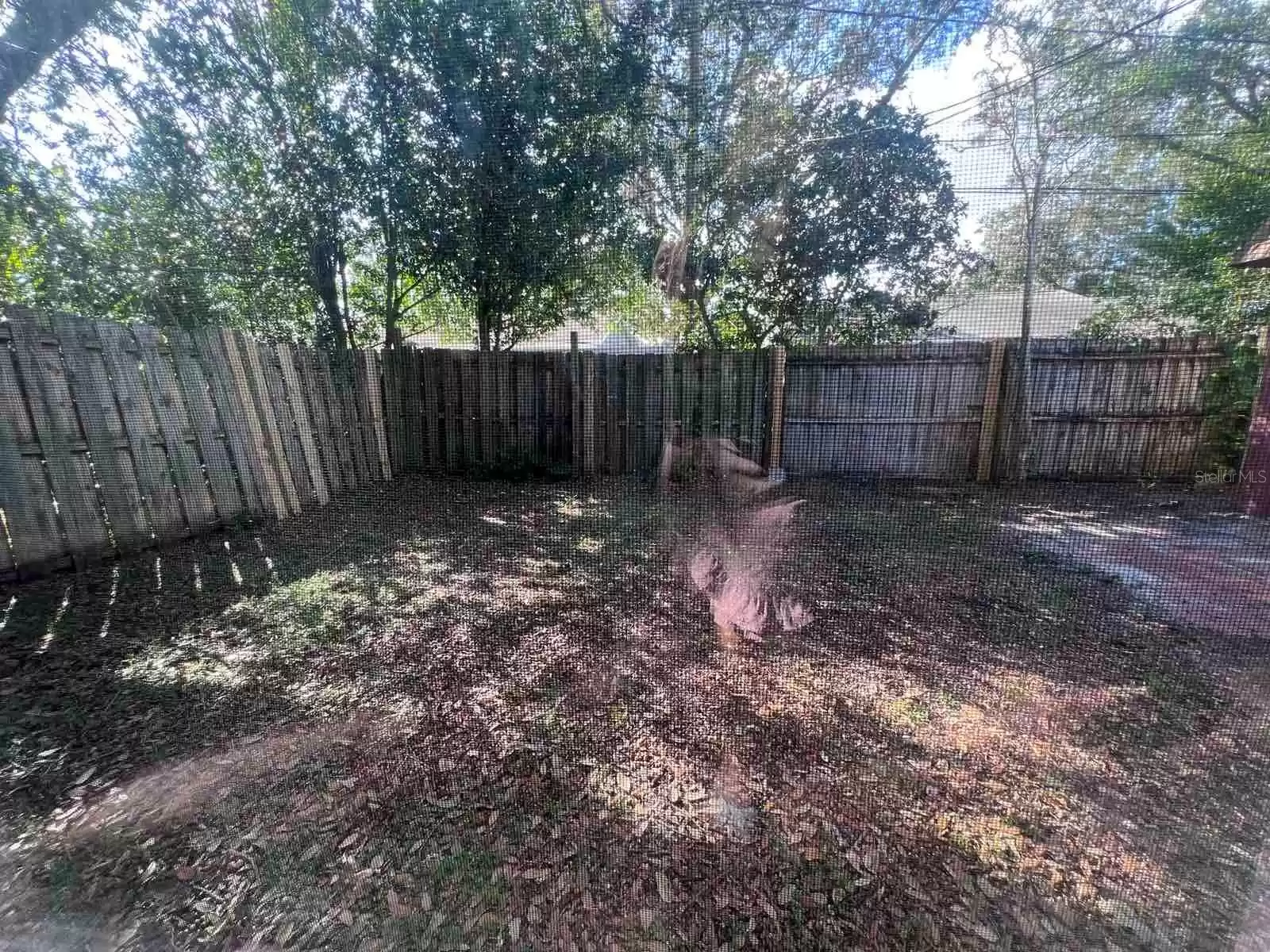 2072 LOS LOMAS DRIVE, CLEARWATER, Florida 33763, 3 Bedrooms Bedrooms, ,1 BathroomBathrooms,Residential Lease,For Rent,LOS LOMAS,0,MFRTB8320467