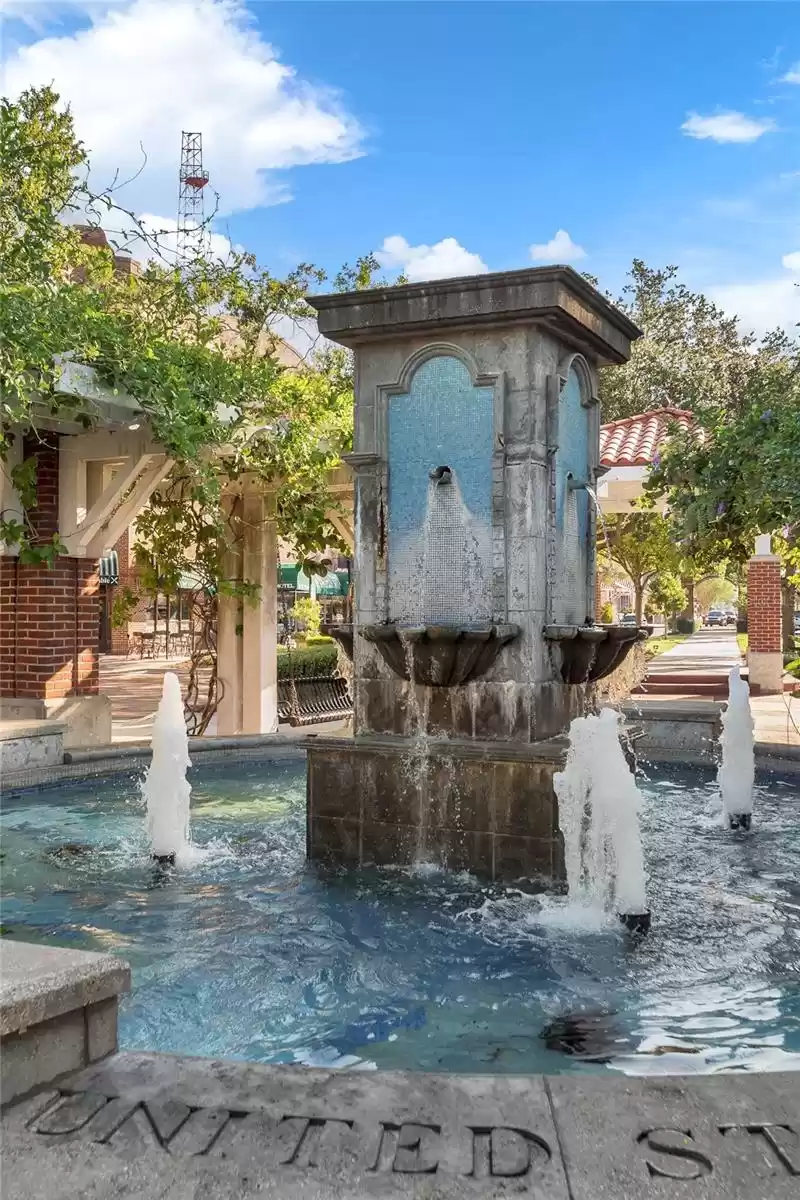 Surrounding community of Downtown Winter Garden