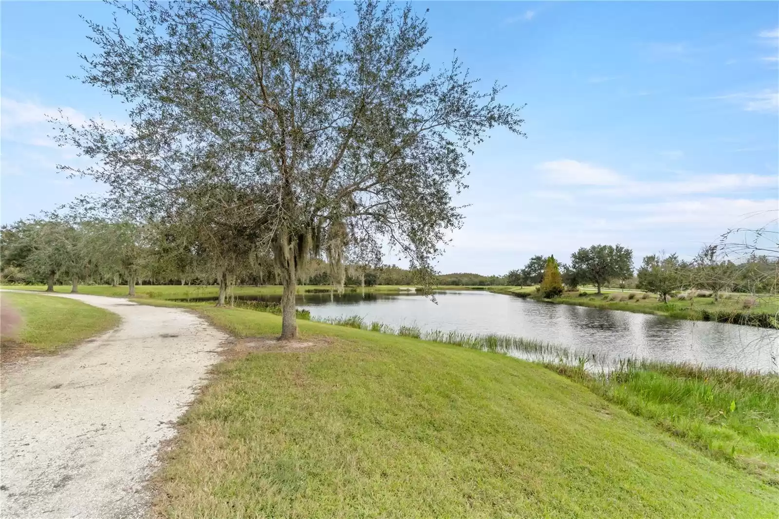 Pond and Walking trail directly behind home!