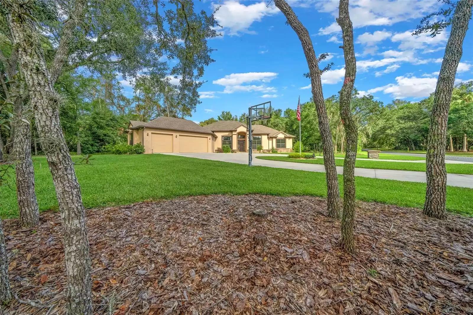 29 IPSWICH LANE, HERNANDO, Florida 34442, 3 Bedrooms Bedrooms, ,3 BathroomsBathrooms,Residential,For Sale,IPSWICH,MFROM689395