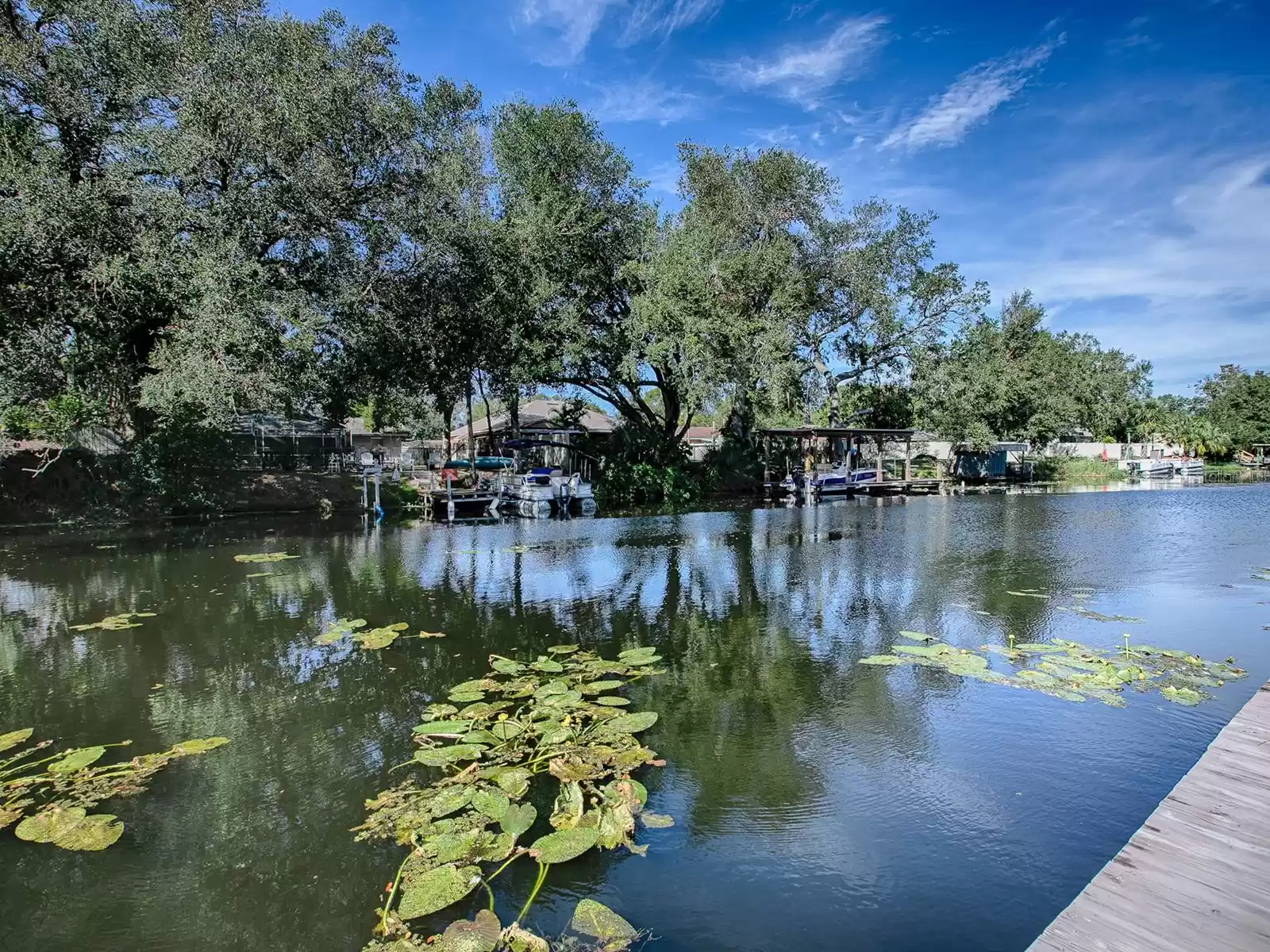 27719 LOIS DRIVE, TAVARES, Florida 32778, 3 Bedrooms Bedrooms, ,2 BathroomsBathrooms,Residential,For Sale,LOIS,MFRG5089431