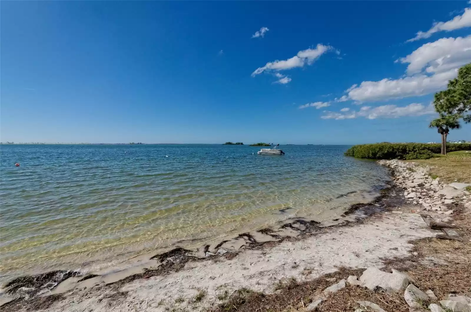 2700 BAYSHORE BOULEVARD, DUNEDIN, Florida 34698, 2 Bedrooms Bedrooms, ,1 BathroomBathrooms,Residential,For Sale,BAYSHORE,MFRTB8322582