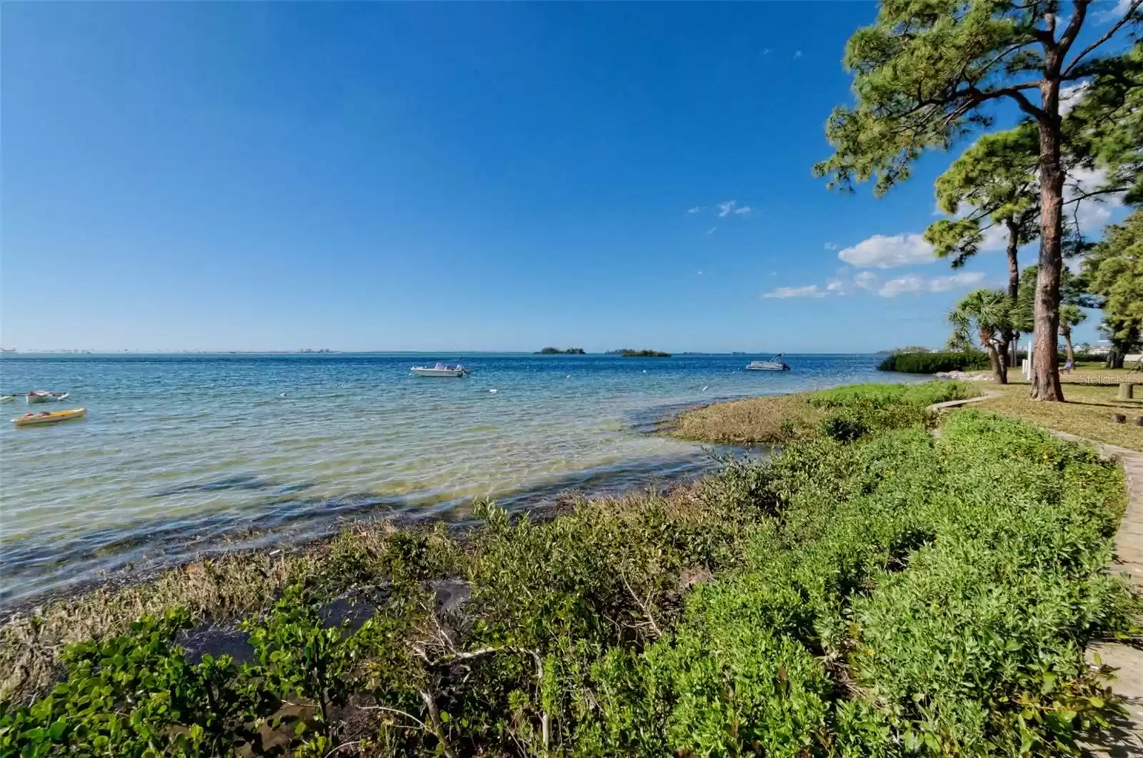 2700 BAYSHORE BOULEVARD, DUNEDIN, Florida 34698, 2 Bedrooms Bedrooms, ,1 BathroomBathrooms,Residential,For Sale,BAYSHORE,MFRTB8322582