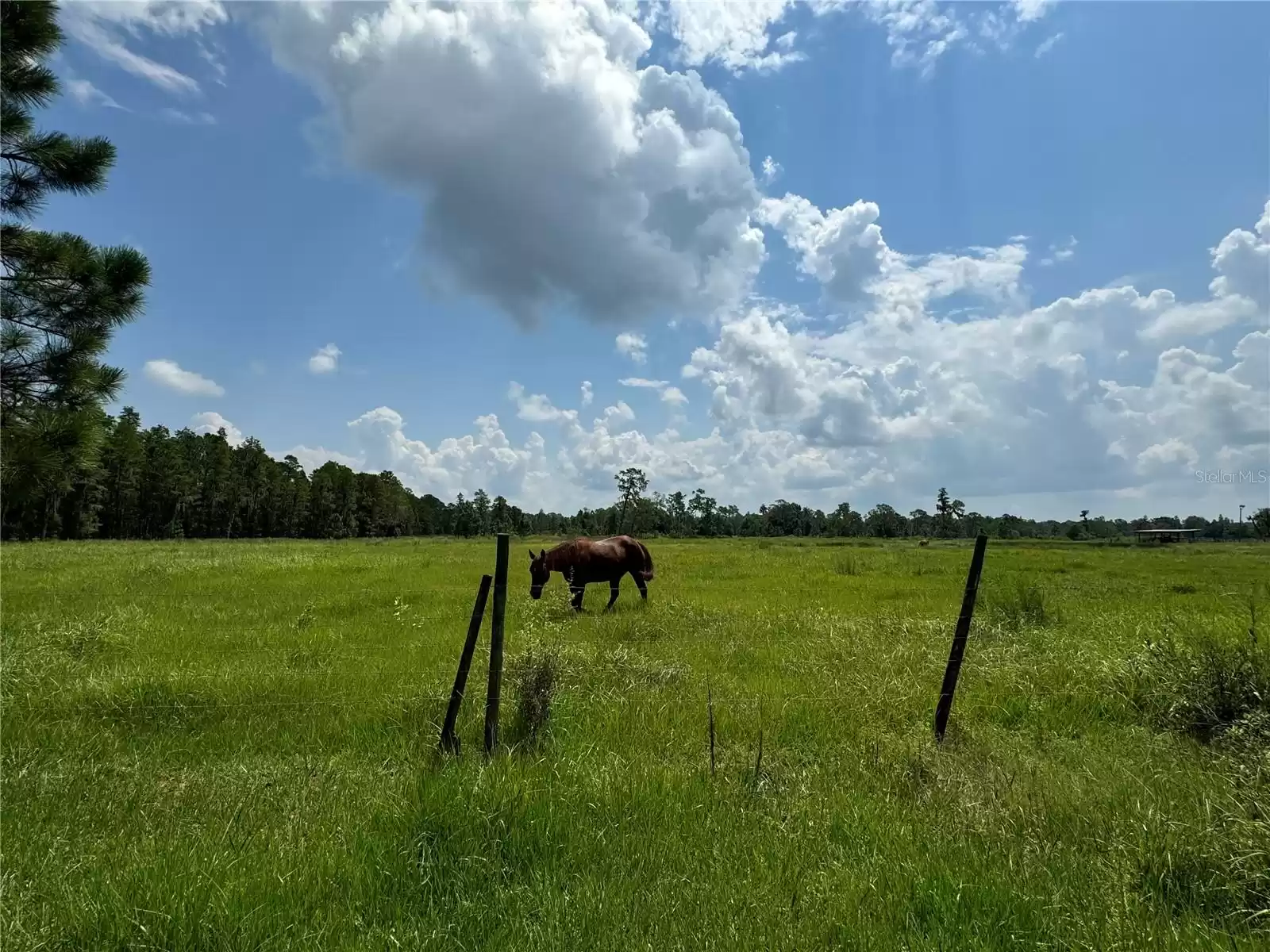 6893 FUSSELL ROAD, POLK CITY, Florida 33868, 3 Bedrooms Bedrooms, ,2 BathroomsBathrooms,Residential,For Sale,FUSSELL,MFRP4932773