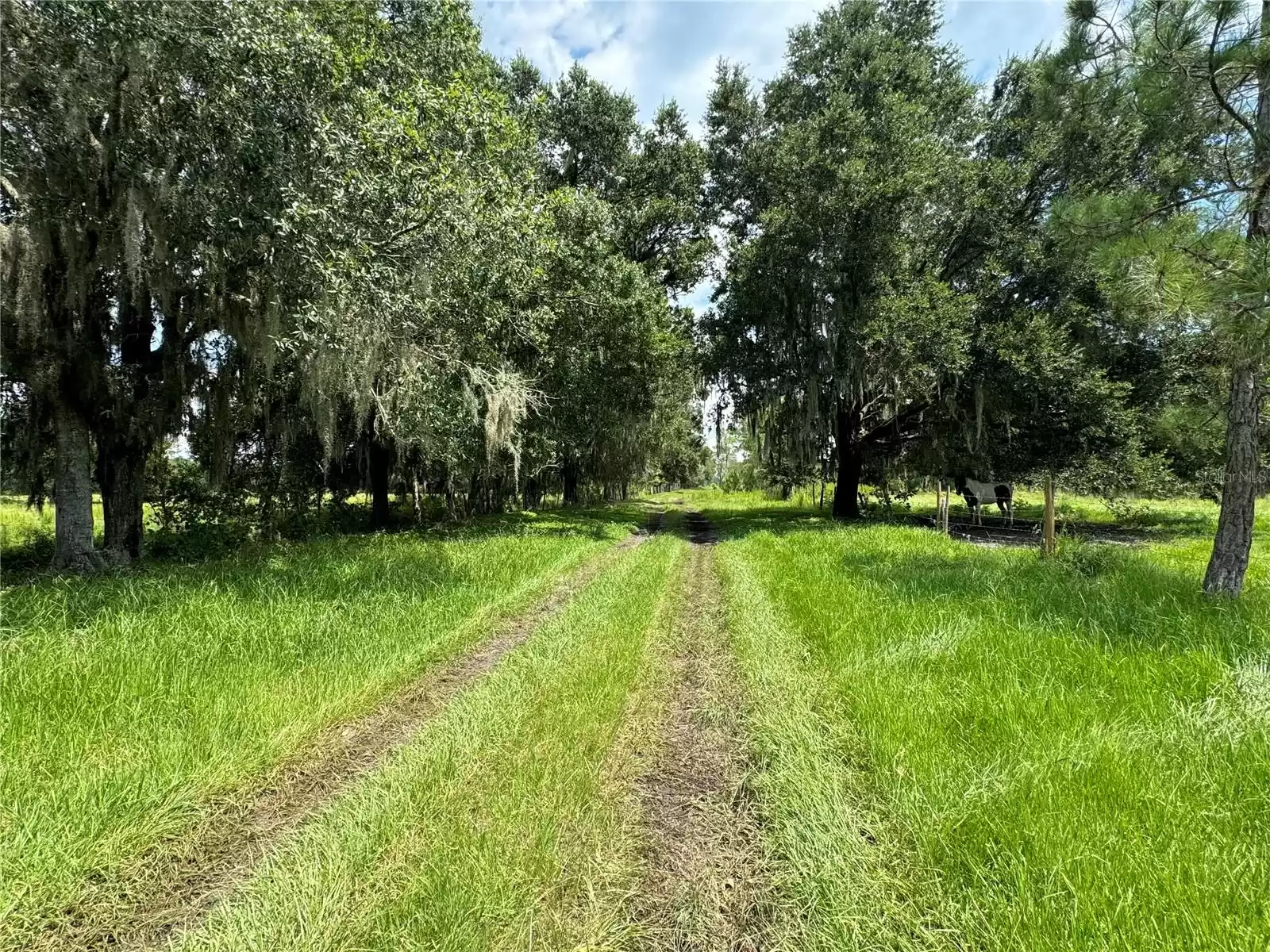 6893 FUSSELL ROAD, POLK CITY, Florida 33868, 3 Bedrooms Bedrooms, ,2 BathroomsBathrooms,Residential,For Sale,FUSSELL,MFRP4932773