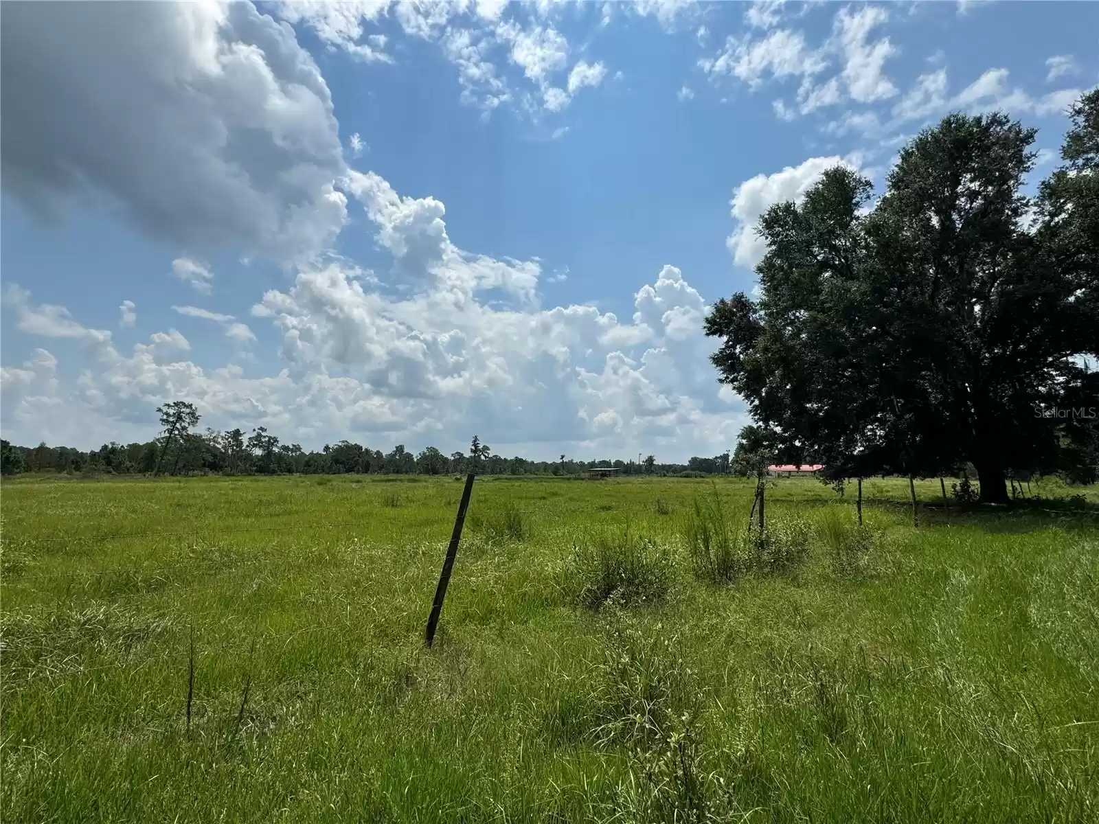 6893 FUSSELL ROAD, POLK CITY, Florida 33868, 3 Bedrooms Bedrooms, ,2 BathroomsBathrooms,Residential,For Sale,FUSSELL,MFRP4932773