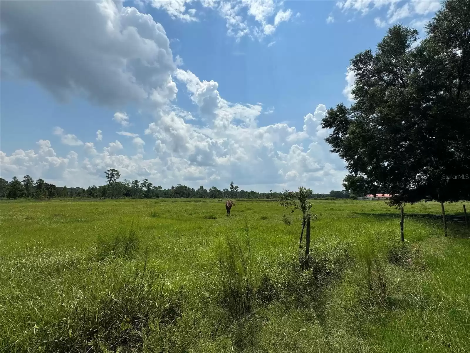 6893 FUSSELL ROAD, POLK CITY, Florida 33868, 3 Bedrooms Bedrooms, ,2 BathroomsBathrooms,Residential,For Sale,FUSSELL,MFRP4932773