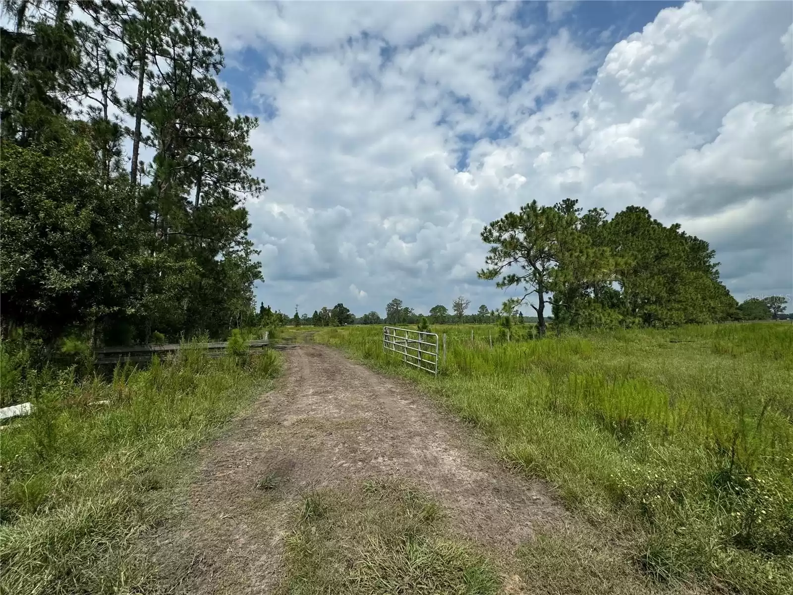 6893 FUSSELL ROAD, POLK CITY, Florida 33868, 3 Bedrooms Bedrooms, ,2 BathroomsBathrooms,Residential,For Sale,FUSSELL,MFRP4932773