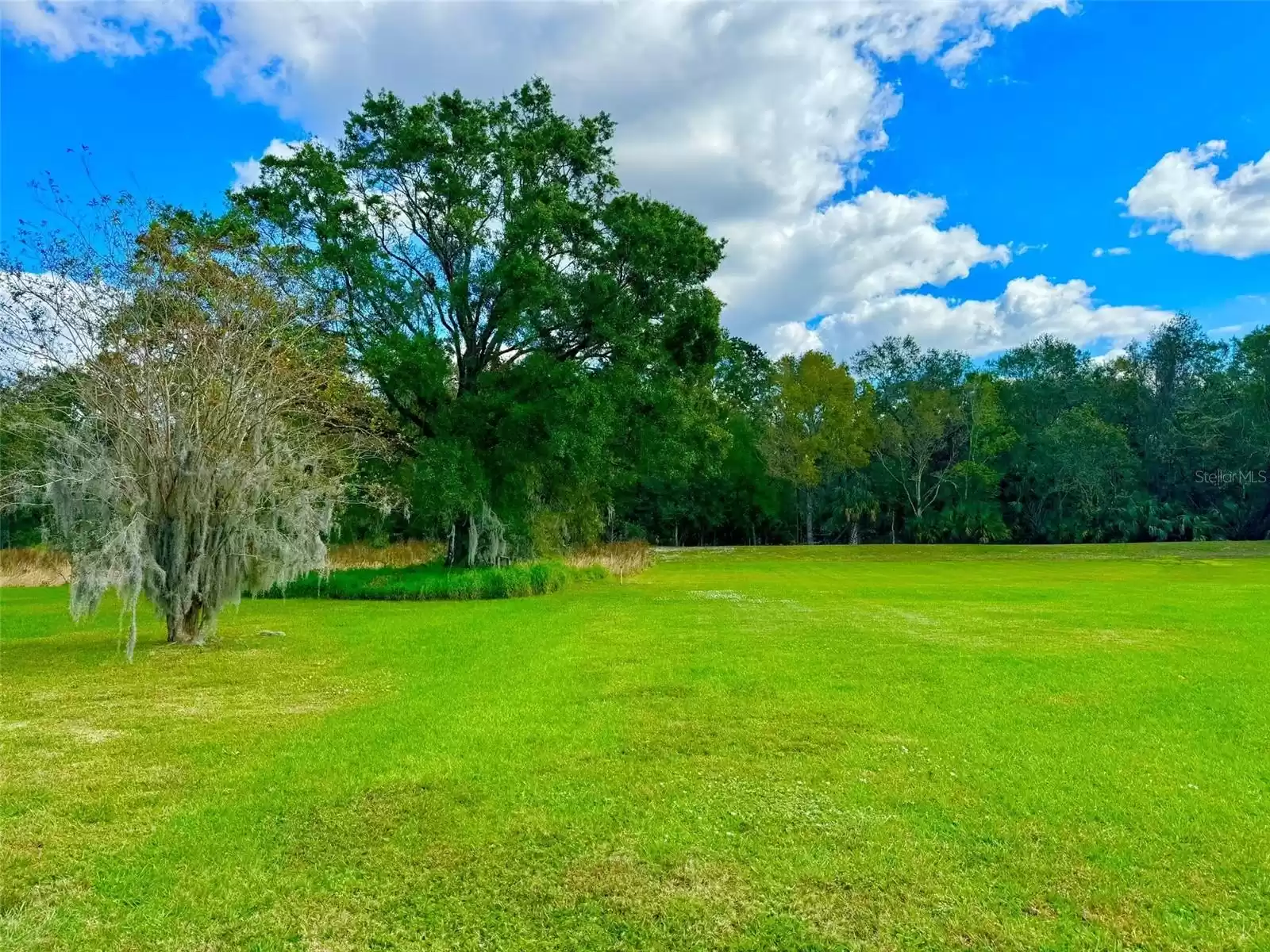 2837 SHERRY BROOK LANE, LUTZ, Florida 33559, 6 Bedrooms Bedrooms, ,5 BathroomsBathrooms,Residential Lease,For Rent,SHERRY BROOK,MFRTB8322572