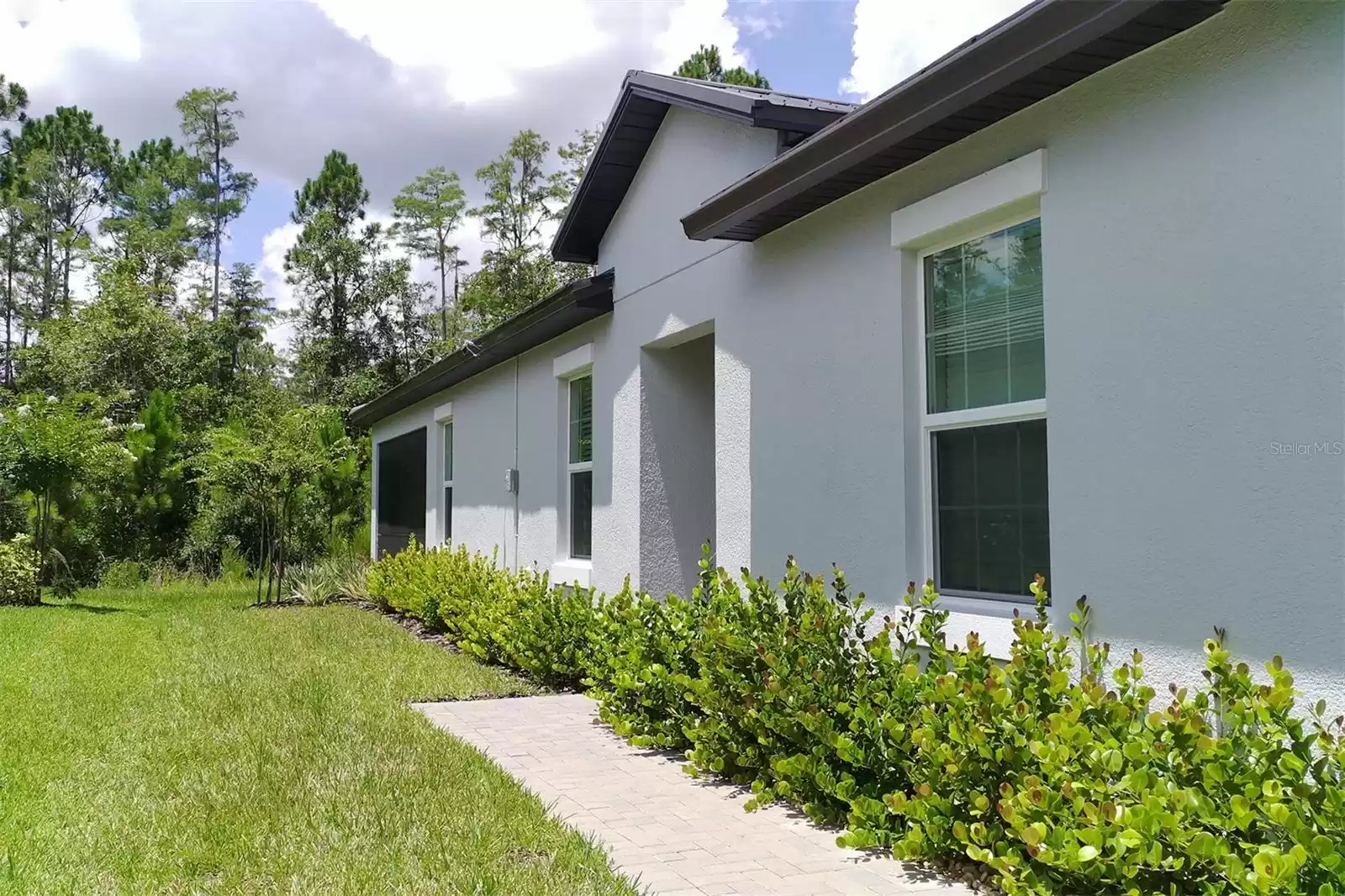 16657 SHELL BAY DRIVE, LAND O LAKES, Florida 34638, 2 Bedrooms Bedrooms, ,2 BathroomsBathrooms,Residential Lease,For Rent,SHELL BAY,MFRTB8315013