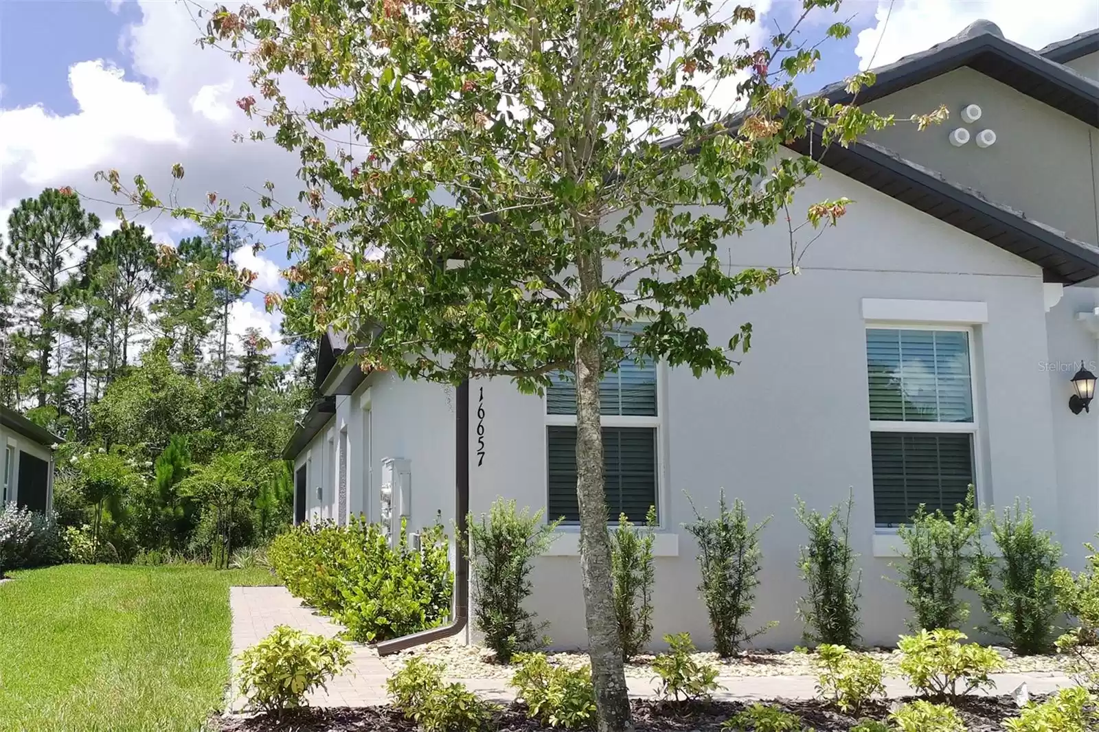 16657 SHELL BAY DRIVE, LAND O LAKES, Florida 34638, 2 Bedrooms Bedrooms, ,2 BathroomsBathrooms,Residential Lease,For Rent,SHELL BAY,MFRTB8315013