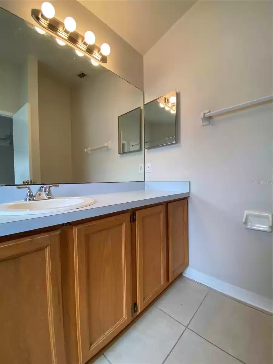 Master Bathroom Vanity