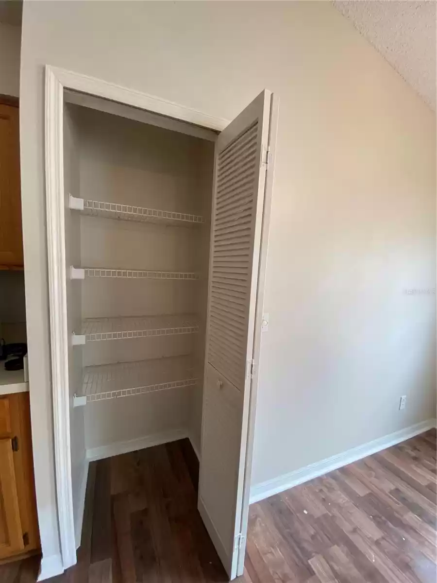 Kitchen Pantry Interior  (Paint on floor has been removed)