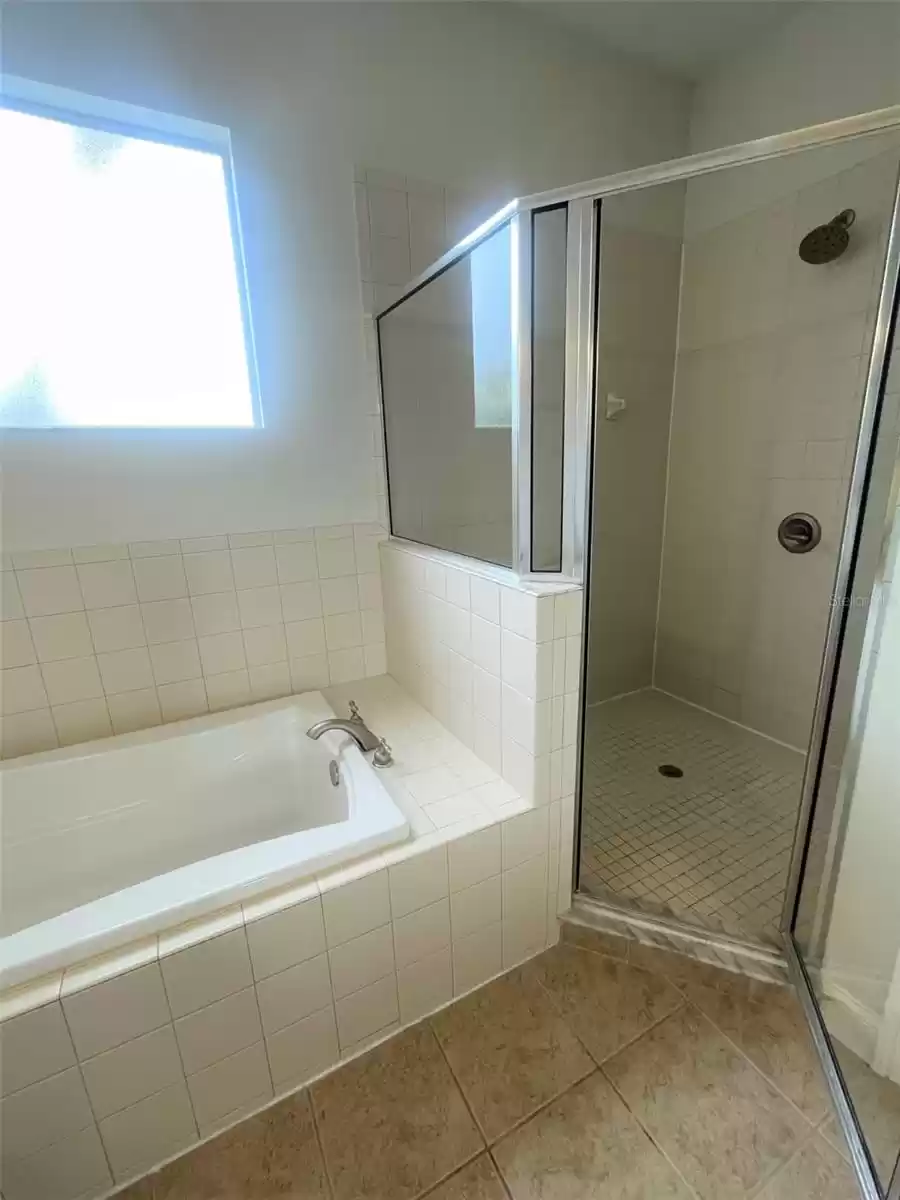 master tub and shower