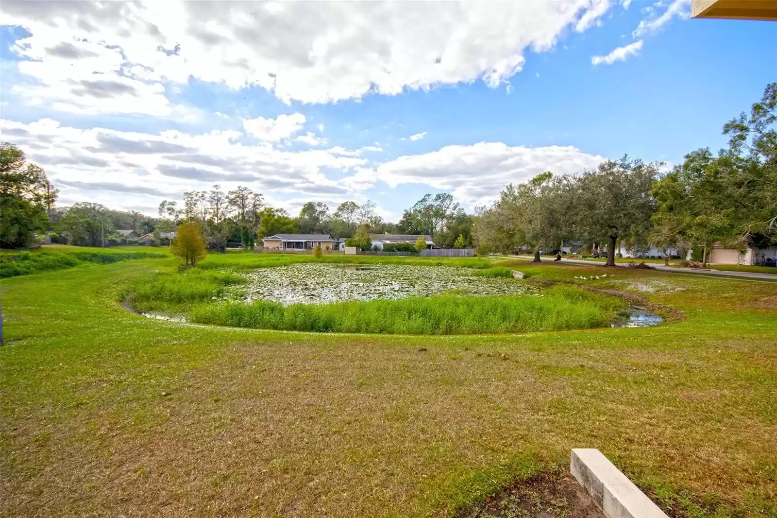 2311 GNARLED OAK AVENUE, LUTZ, Florida 33549, 3 Bedrooms Bedrooms, ,2 BathroomsBathrooms,Residential,For Sale,GNARLED OAK,MFRTB8322935